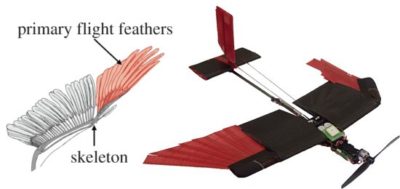 As folhas flexíveis fazem o papel das penas grandes na extremidade das asas dos pássaros. [Imagem: Matteo Di Luca et al. - 10.1098/rsfs.2016.0092]