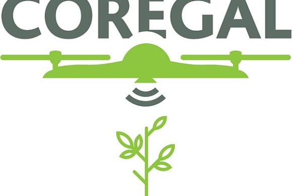 Webinar: Coregal, uma nova metodologia para medir biomassa com Drones