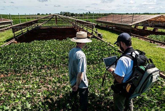 Drones e satélites auxiliam monitoramento de lavouras e pastagens