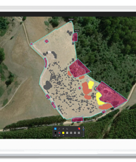 Garantindo rentabilidade agrícola para a próxima colheita com Pix4Dfields