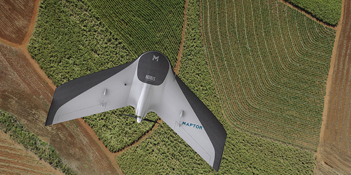 Drones podem ser grandes colaboradores para o produtor de cana de açúcar. Entenda