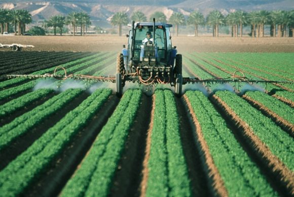 Seminário sobre drones na Agricultura e Silvicultura acontece em São Paulo