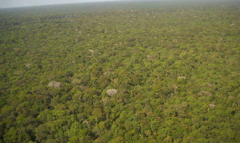 Drones da DJI estão sendo usados para mapeamento da Amazônia