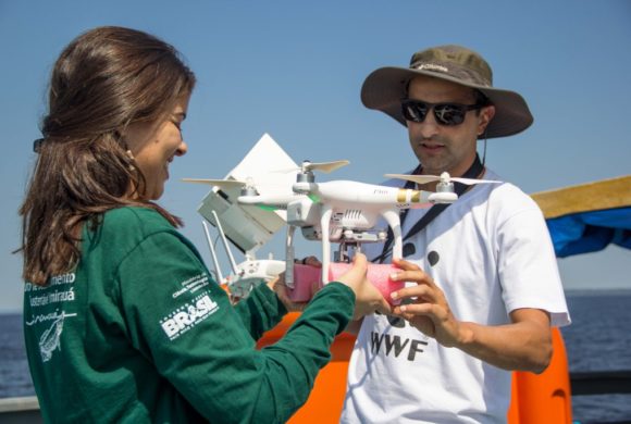 Drones são usados para estimativa populacional de botos amazônicos. Confira