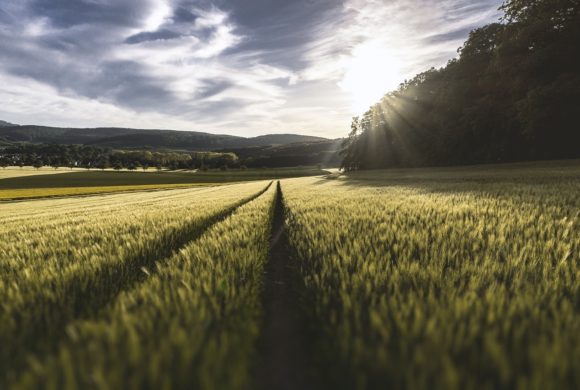 Governo Federal cria Comissão Brasileira de Agricultura de Precisão e Digital