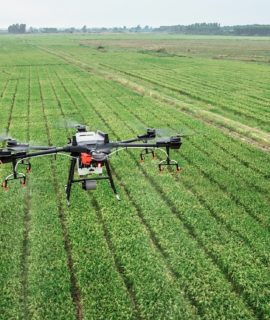 Agricultura de Precisão em destaque na DroneShow e MundoGEO Connect 100% Online com cursos, fórum e seminário