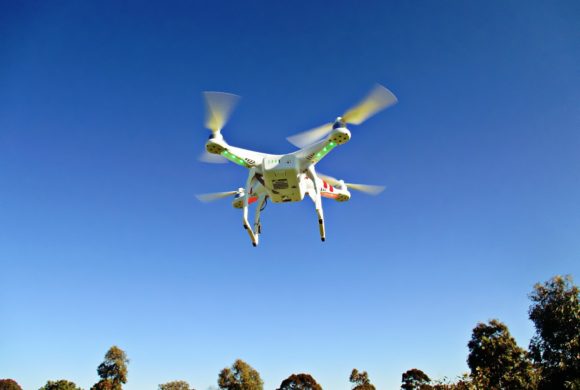 Cientistas usam drones para fazer inventário de florestas e estimar volume de madeira