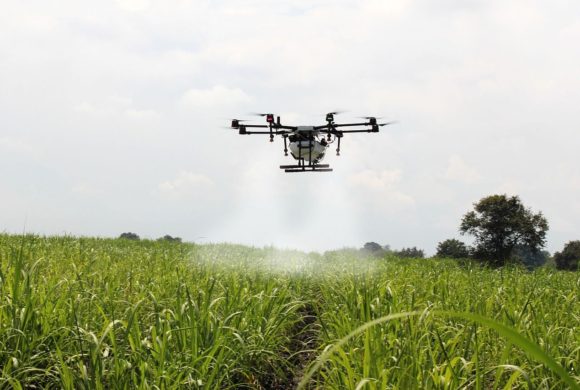 Mini-curso online básico de agricultura com drones acontece em junho