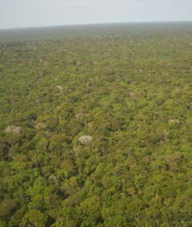 Tribo indígena usa Drones para monitorar a floresta amazônica
