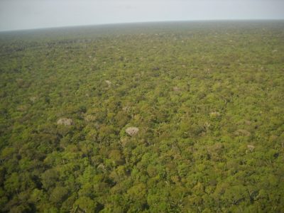 indios usam Drones para monitorar amazonia