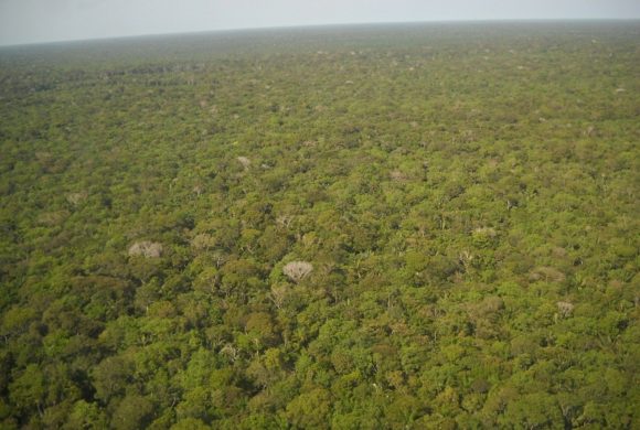 Tribo indígena usa Drones para monitorar a floresta amazônica