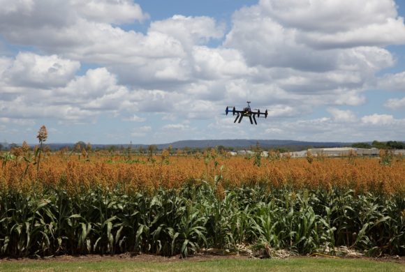 Projeto de Lei institui política nacional de incentivo à Agricultura de Precisão