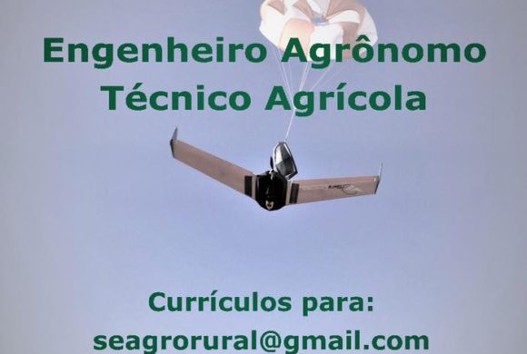 Seagro Soluções Rurais busca Engenheiro Agrônomo e Técnico Agrícola